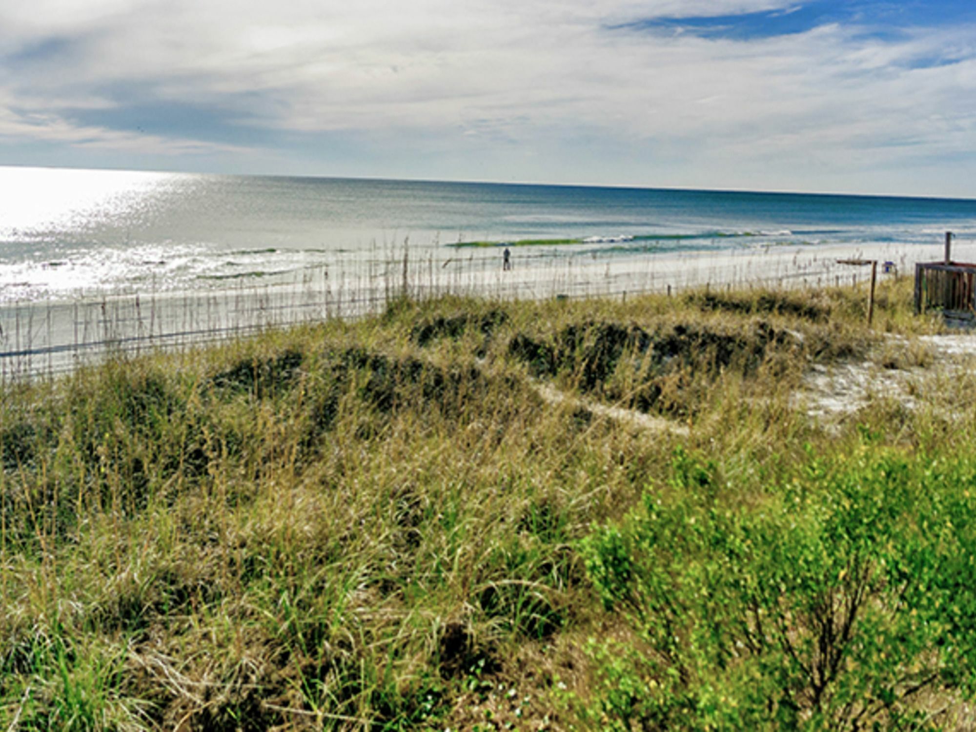Harley's Haven 627865 By Redawning Panama City Beach